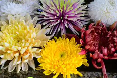 くろ谷 金戒光明寺の手水舎