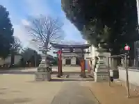 大戸氷川神社(埼玉県)