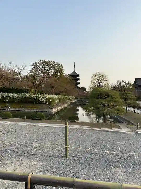 東寺(教王護国寺)の景色