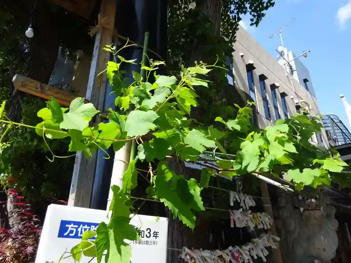 菊名神社の自然