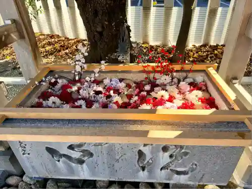 伊勢原大神宮(神奈川県)