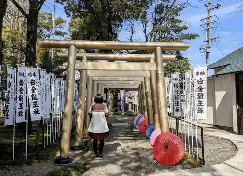 白金龍王社の鳥居