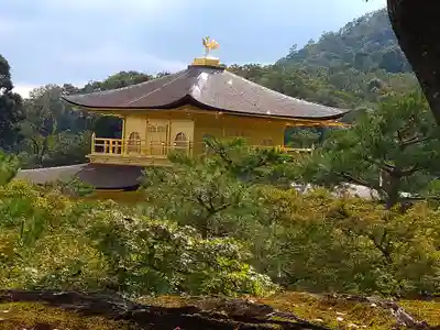 鹿苑寺(金閣寺)(京都府)