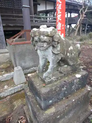 崇真寺(開運犬り切不動尊)の狛犬