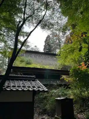 大矢田神社(岐阜県)