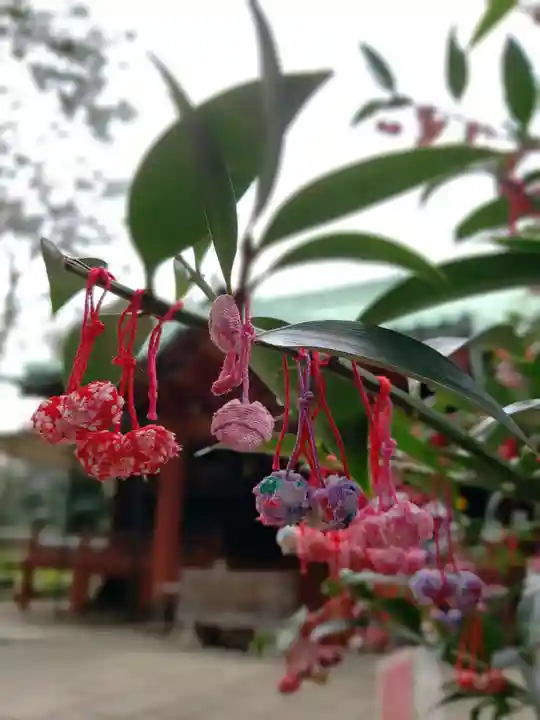 赤坂氷川神社(東京都)