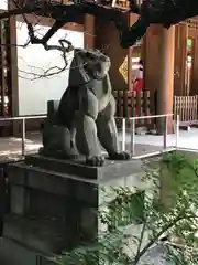 乃木神社の狛犬