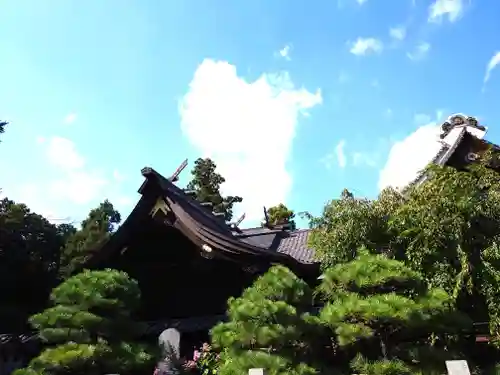 箭弓稲荷神社(埼玉県)