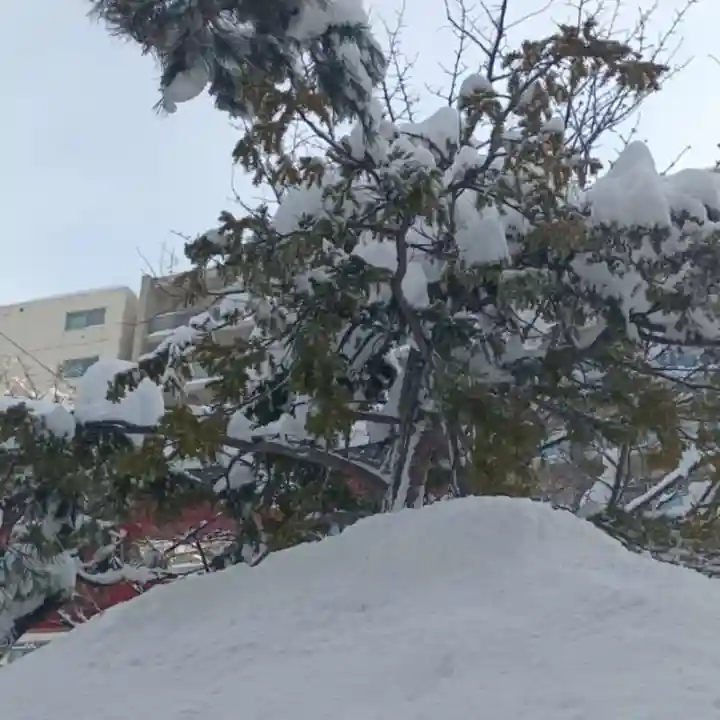彌彦神社 (伊夜日子神社)(北海道)
