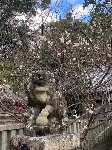 機物神社の狛犬