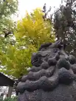 福井神社(福井県)