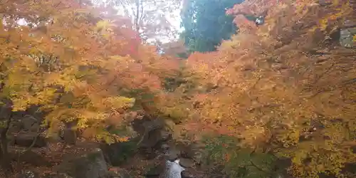 泰寧寺の景色