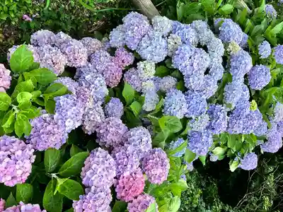 住吉神社(熊本県)