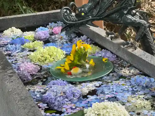 下野 星宮神社の手水舎