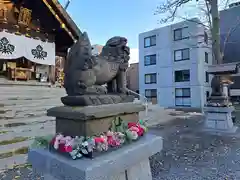 札幌諏訪神社の狛犬