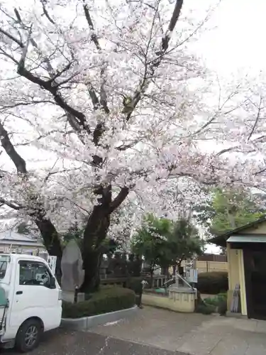 真光寺(千葉県)