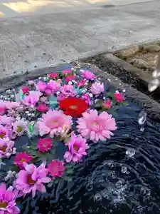 大鏑神社の手水舎(2021年03月07日(日) 08時44分08秒投稿)
