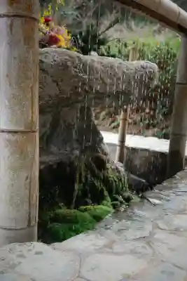 櫻井神社の{uncategorized: "未分類", other: "その他", undefined: "問題あり", building: "その他建物", grave: "お墓", sacred_gate: "鳥居", guardian: "狛犬", statue: "像", buddha: "仏像", history: "歴史", nature: "自然", garden: "庭園", animal: "動物", pagoda: "塔", temizu: "手水舎", mountain_gate: "山門・神門", sanctuary: "本殿・本堂", subordinate: "末社・摂社", art: "芸術", scenery: "景色", jizo: "地蔵", ema: "絵馬", goshuin: "御朱印", omikuji: "おみくじ", items: "授与品その他", amulet: "お守り", goshuincho: "御朱印帳", eats: "食事", festival: "お祭り", votive_dance: "神楽", shichigosan: "七五三参", wedding: "結婚式", experience: "体験その他", initially: "初詣", around: "周辺", anti_infection: "感染症対策"}