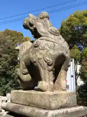 姫坂神社の狛犬