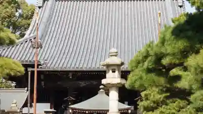 葛井寺(大阪府)