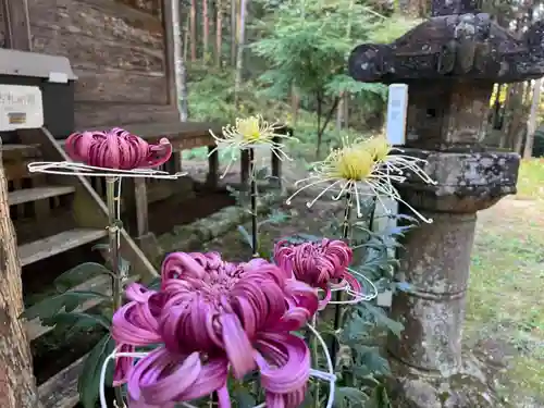 大宮温泉神社(栃木県)