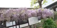 六孫王神社の自然