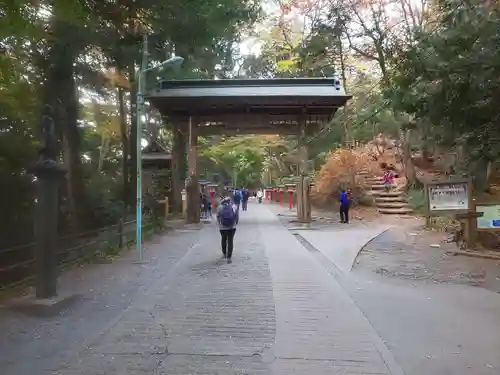 高尾山薬王院の山門