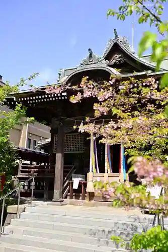 桜神宮の本殿・本堂