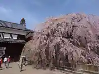 眞田神社(長野県)