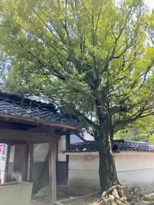 常行院(愛知県)