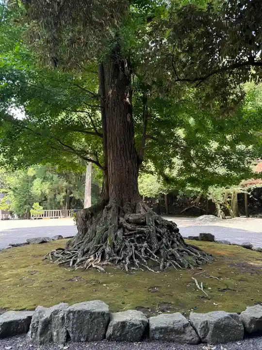 安房神社(千葉県)