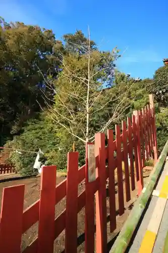 鶴岡八幡宮の自然