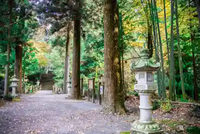 国造神社(熊本県)