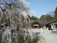 足羽神社のその他建物