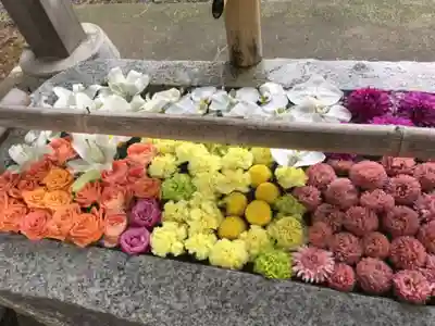 札幌伏見稲荷神社の手水舎