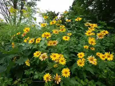 津別神社(北海道)
