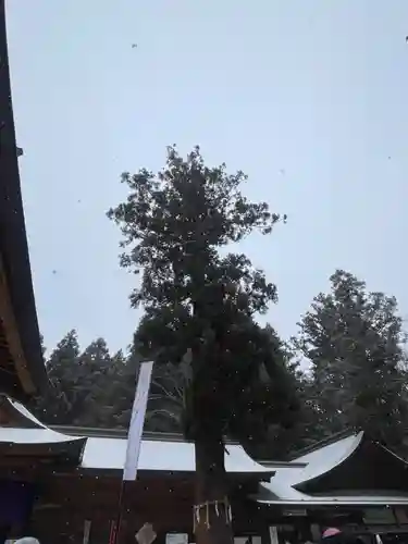 穂高神社本宮(長野県)