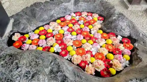 月寒神社の手水舎