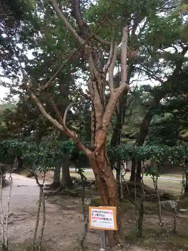 瑠璃光寺の建物その他