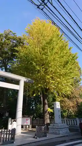 阿佐ヶ谷神明宮のその他建物