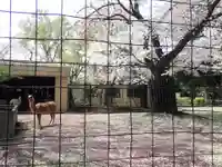 了源寺(神奈川県)