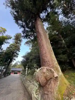 八幡神社(岐阜県)
