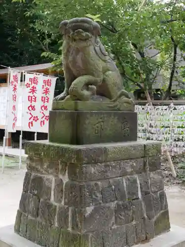 中山神社の狛犬