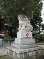 葛西神社の狛犬