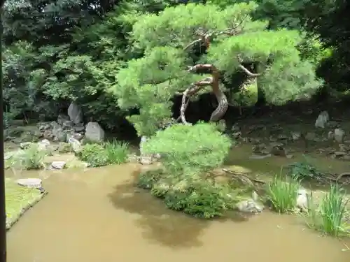 大善寺の庭園