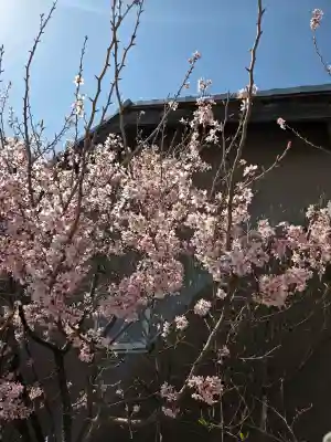 成田山川越別院の{uncategorized: "未分類", other: "その他", undefined: "問題あり", building: "その他建物", grave: "お墓", sacred_gate: "鳥居", guardian: "狛犬", statue: "像", buddha: "仏像", history: "歴史", nature: "自然", garden: "庭園", animal: "動物", pagoda: "塔", temizu: "手水舎", mountain_gate: "山門・神門", sanctuary: "本殿・本堂", subordinate: "末社・摂社", art: "芸術", scenery: "景色", jizo: "地蔵", ema: "絵馬", goshuin: "御朱印", omikuji: "おみくじ", items: "授与品その他", amulet: "お守り", goshuincho: "御朱印帳", eats: "食事", festival: "お祭り", votive_dance: "神楽", shichigosan: "七五三参", wedding: "結婚式", experience: "体験その他", initially: "初詣", around: "周辺", anti_infection: "感染症対策"}