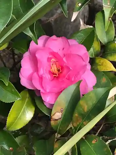 宗像大社の自然