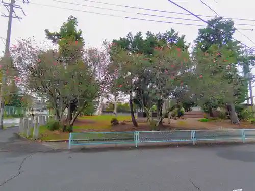 天王社（神明町）の自然