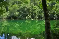 龍ヶ窪神社(新潟県)