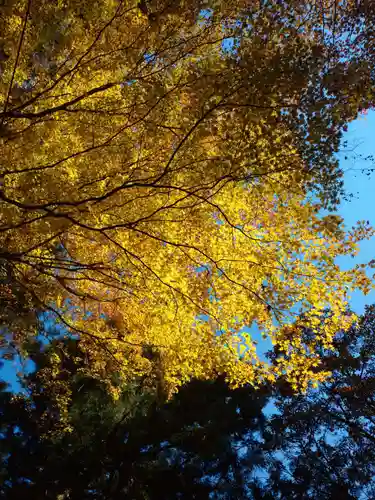 榛名神社の自然